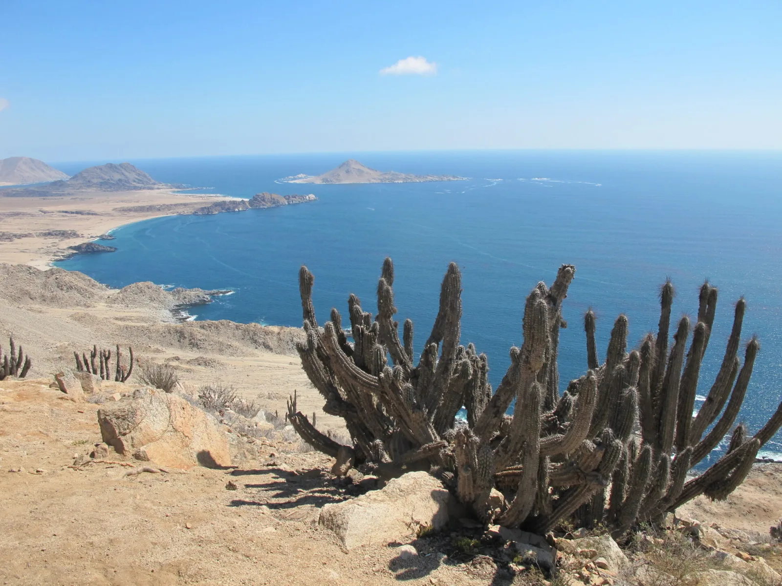 Parque Nacional Pan de Azúcar